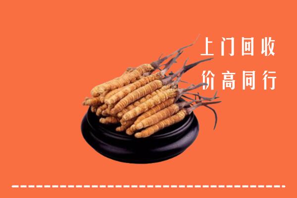 高价求购：郑州市惠济回收散虫草