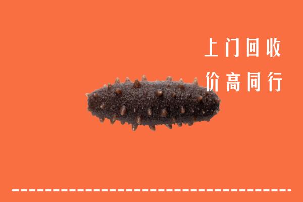 高价求购：郑州市惠济回收海参