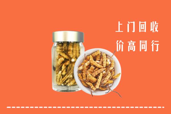 郑州市惠济回收冬虫夏草