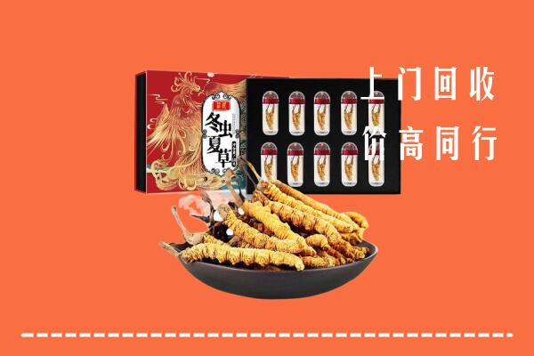 郑州市惠济回收虫草